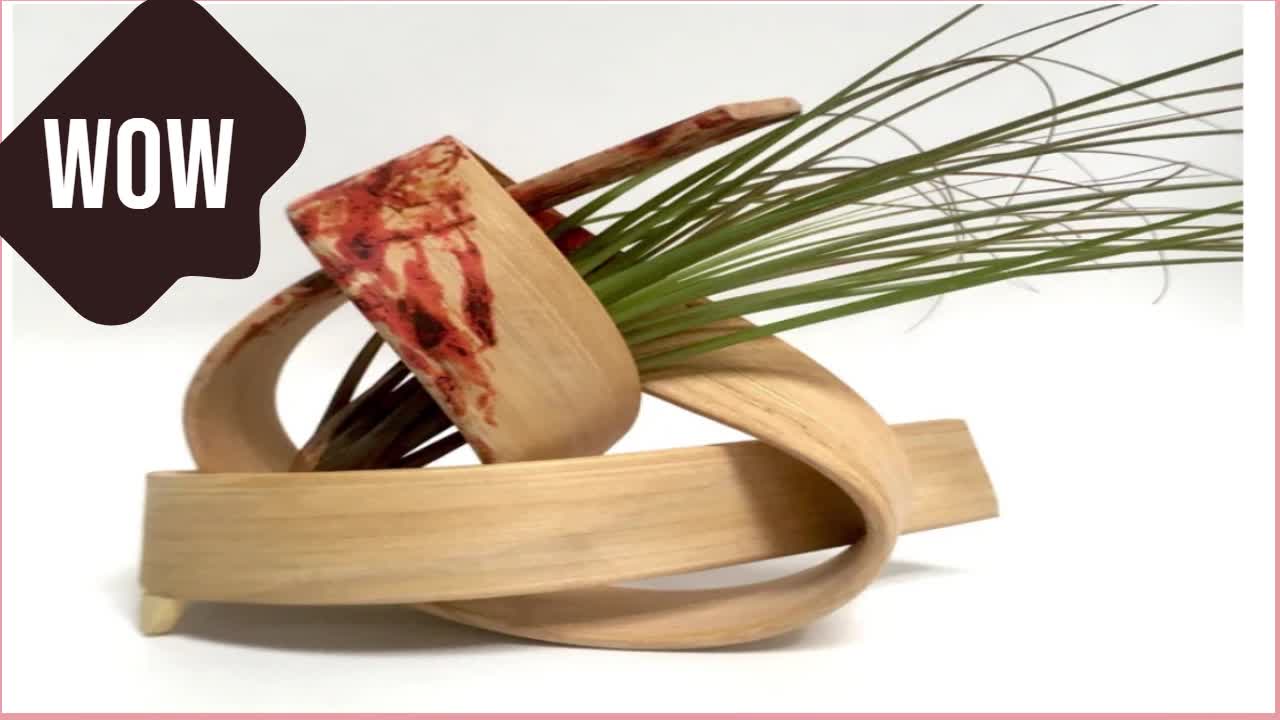 Insanely cute and beautiful succulent indoor plant pot holder, you have ever seen.