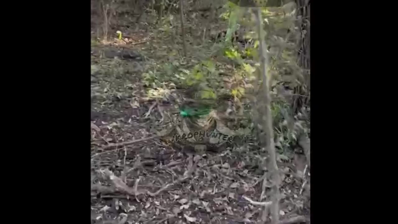 π·πΊπΊπ¦ Destroyed Ukrainian militants in Kursk region.