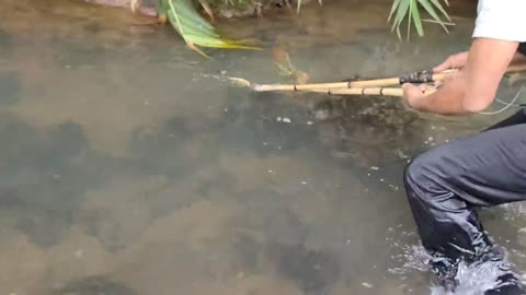 cari ikan di pinggiran kebun dapat banyak babon-2