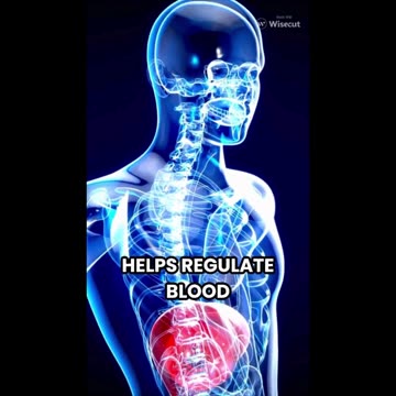 Skill Snacks: The Liver