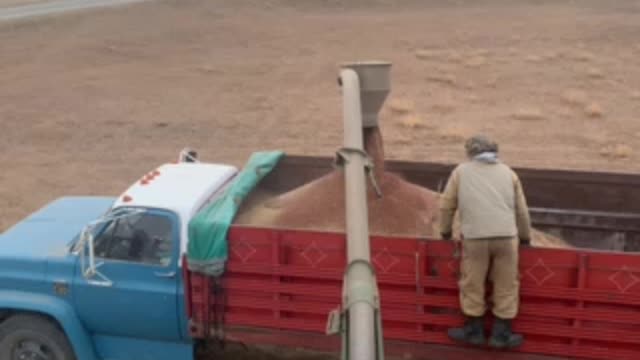 Transferring Flax