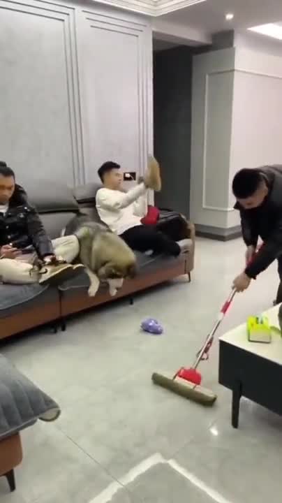 Try putting the vacuum cleaner on