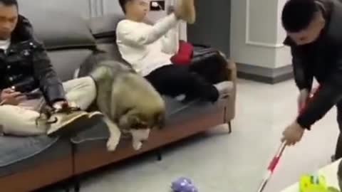 Try putting the vacuum cleaner on