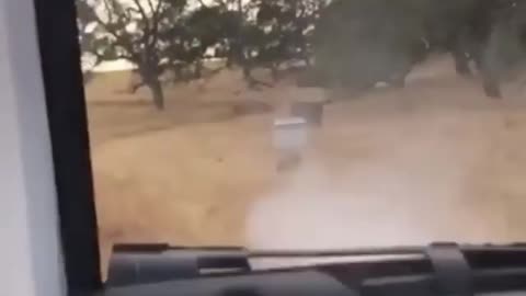 Bullet Ricochets Into Truck