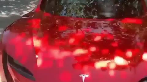 Do you like Tesla?