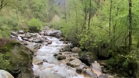 Man Finds a Lone Lamb in the Himalayas