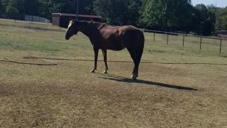 Sprinkler time!