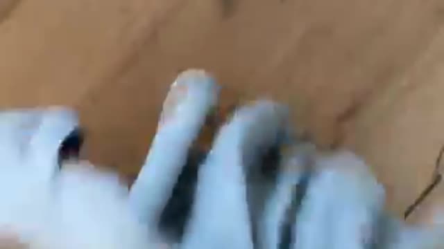 Natalie goes Naked for DavidDobrik video