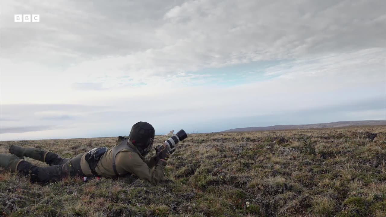 Filming a Pack of Arctic Wolves | Planet Earth III Behind The Scenes | BBC Earth