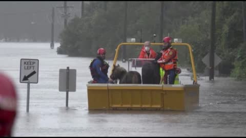 Australia's Torrential Rain, Floods, & People Forced To Evacuate