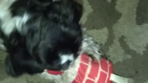 Max beating up his toy