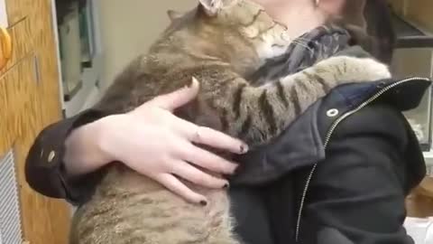 This Cat Wouldn't Let Go