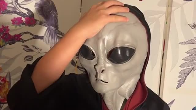 Fun vid