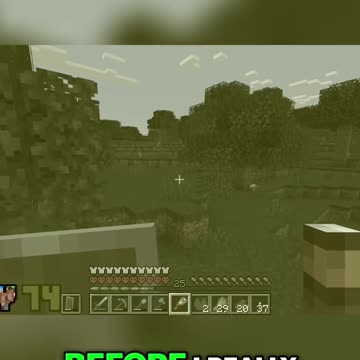 Epic Adventure: My Journey Home After Day 74!