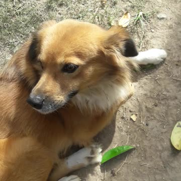 Touch me if u bad nuh