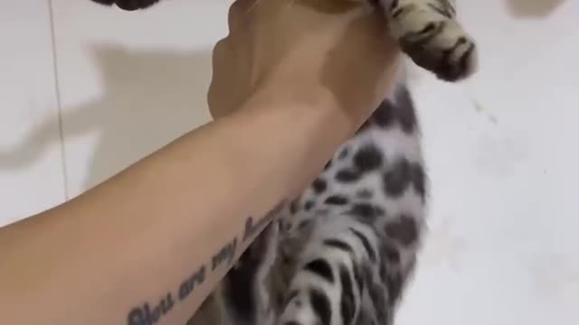 Caught