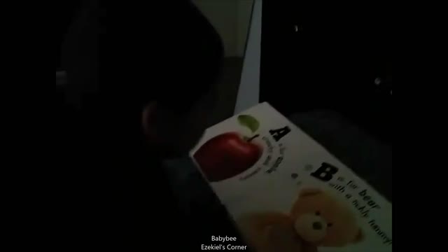Baby memorizes his book at 20 months