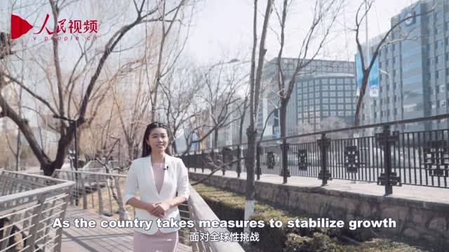 This year’s Two Sessions kicks off -and why you should be interested