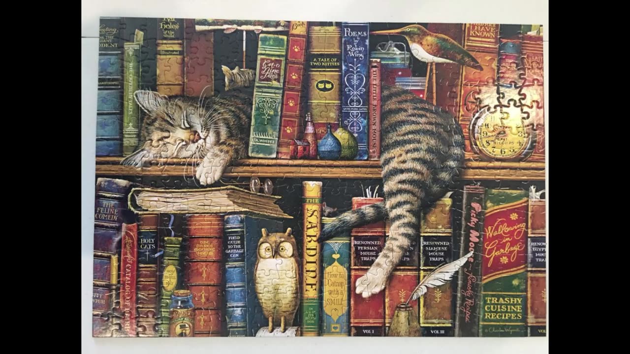 Frederick the Literate - Charles Wysocki - Buffalo Games Jigsaw Puzzle (300 pieces)