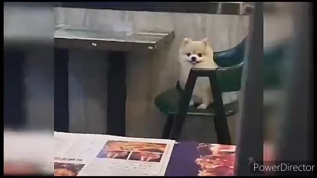 Mr small boyππΆπ