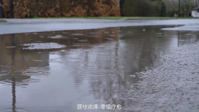 Happiness healing 幸福疗愈丨淅淅沥沥的小雨拍打着诗意浓浓的柏油路面，满满的集聚着幸福哦！