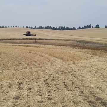 Wheat farming in Idaho part 1