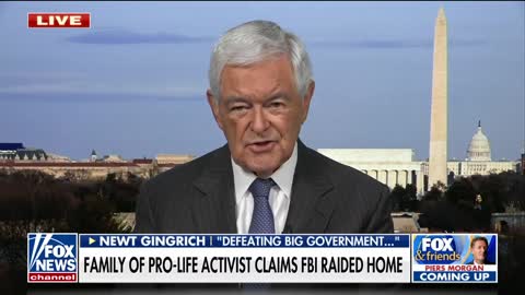 Newt Gingrich rips far-left 'wokeness' ahead of November: 'Left the rest of the country behind'