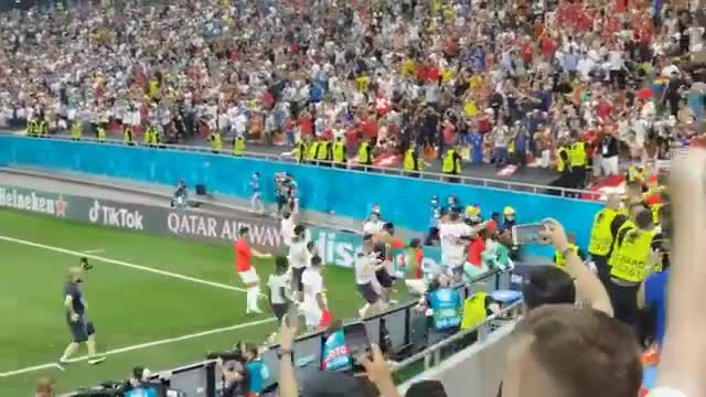 France - Switzerland Last Penalty