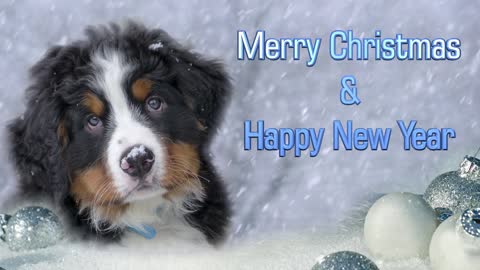 merry christmas to all users rumble