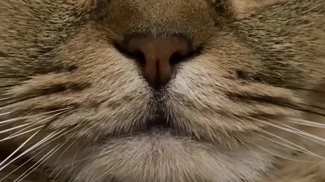 You do not have the heart to dampen me 😂😂