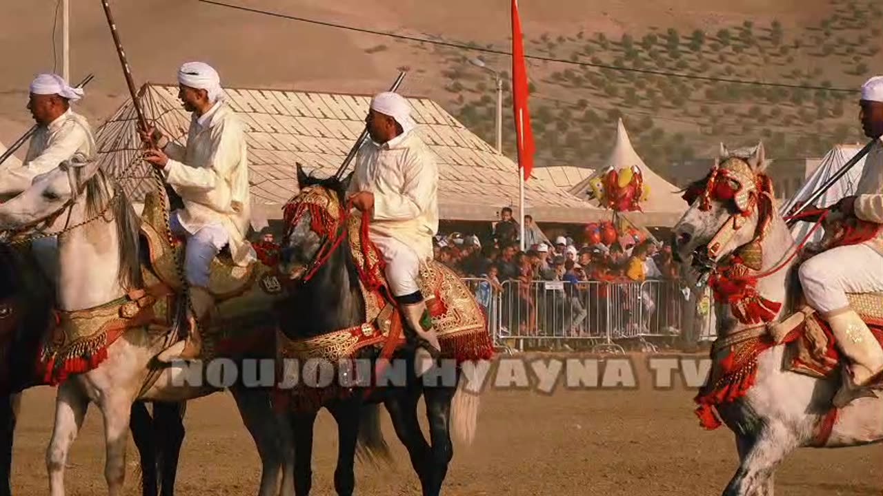 موسم التبوريدة 2024 مهرجان تيسة