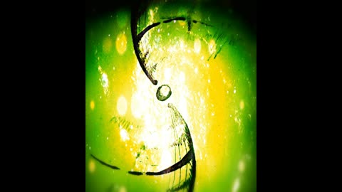 #3 Leak of Reflection