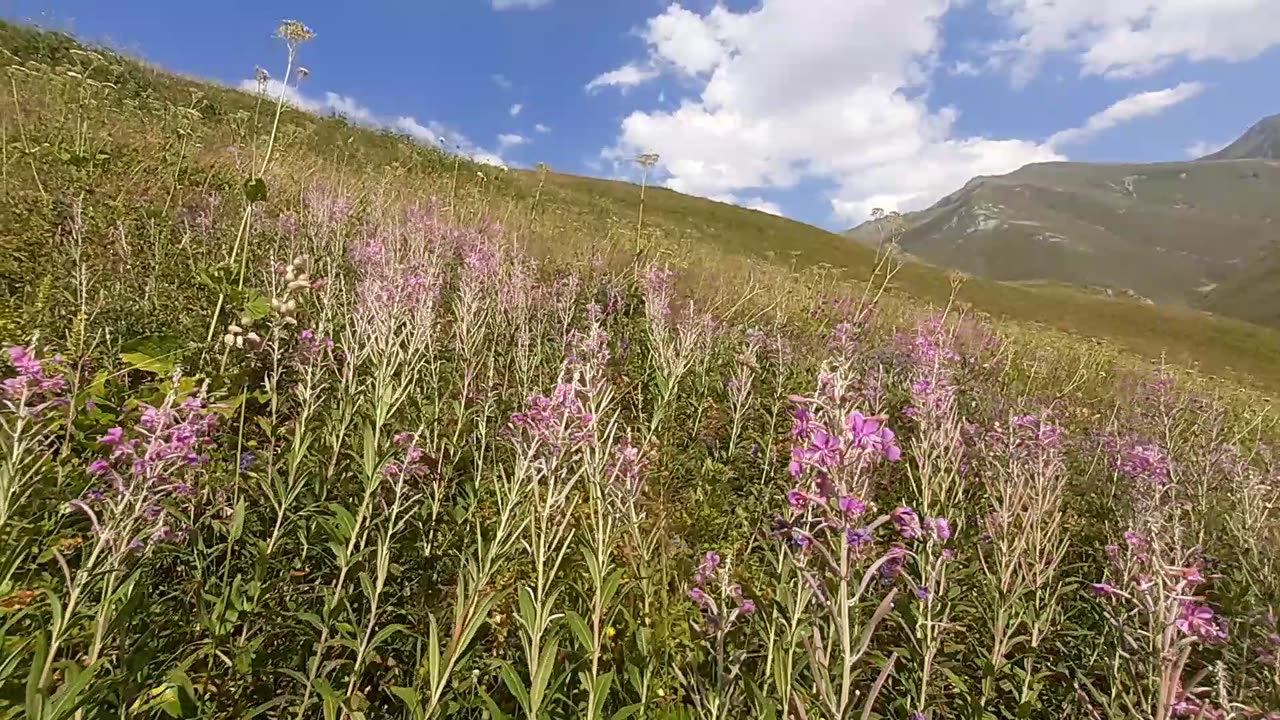 VIEWS FROM THE PLATEAU-46