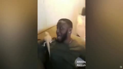 Funny fail 2022