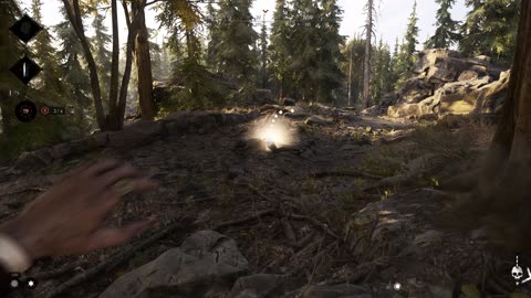 Hunt: Showdown 1896 - they started it