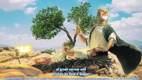 Israel We Pray For You (Mirror)