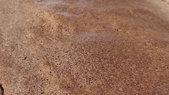 I tried the Pillsbury's Classic Fudge Brownie Mix