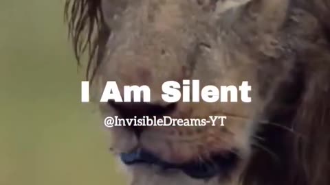 Attitude - Lion King - Don_t Cross The Limit -- -- _shorts _attitude _status _lionking