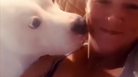 dog with girls 🤣🤣🤣🤣