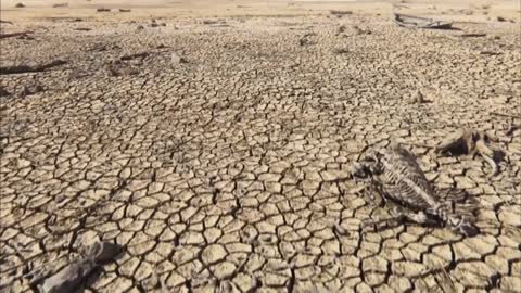 Dry the surface of the lake