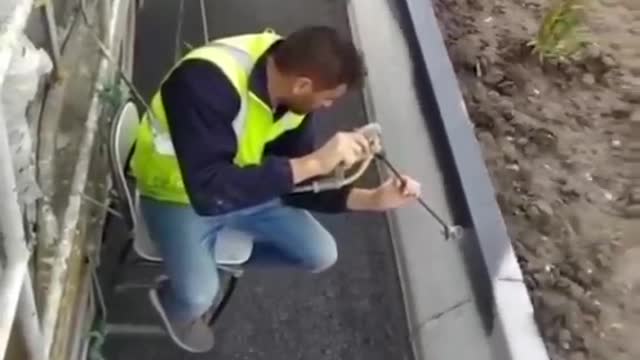 Like a Boss! Rate this Amazing workers