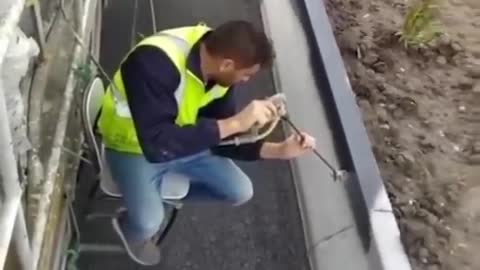 Like a Boss! Rate this Amazing workers