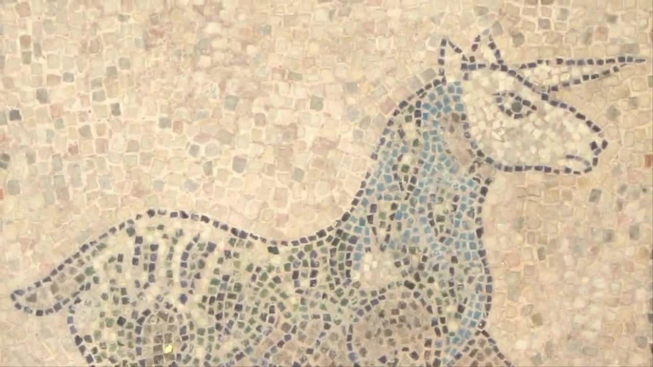 Scientists Have Found Fossils| Are Unicorns Real?
