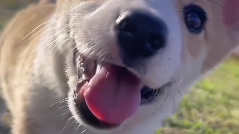 Cute 😍
