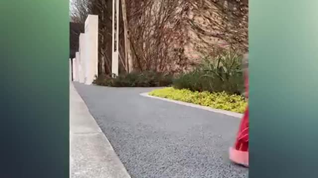 A smart kid and dog
