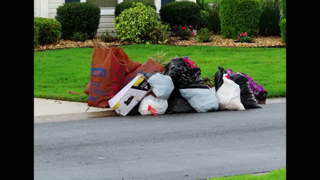 Our Trash collectors - Fantastic