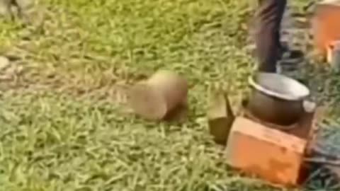Funny fails that makes you restart 😂
