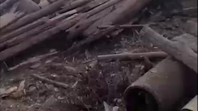 Consequences of night shelling at village Golovchino