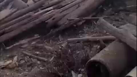 Consequences of night shelling at village Golovchino
