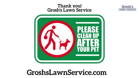 Lawn Mowing Service Falling Waters West Virginia Dog Poop